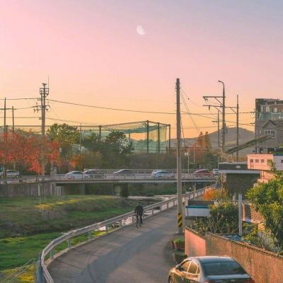 房地产项目计提减值后 去年豫园股份亏损49亿元